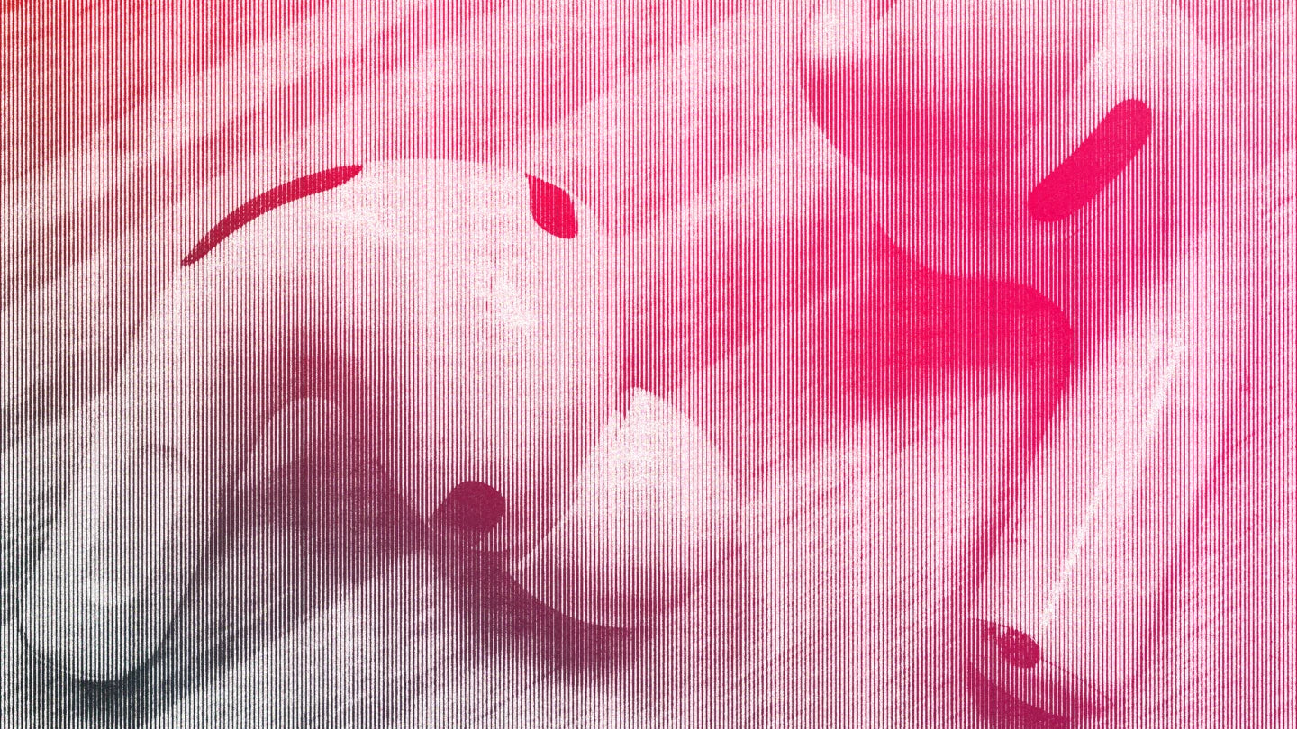 AirPods Pro 3 får uventet feature: Fløjtende lyde for nogle brugere
