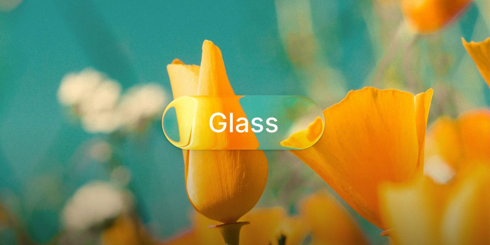 Sketch opdateres: Liquid Glass-effekter og nye biblioteker til macOS 26 og iOS 26